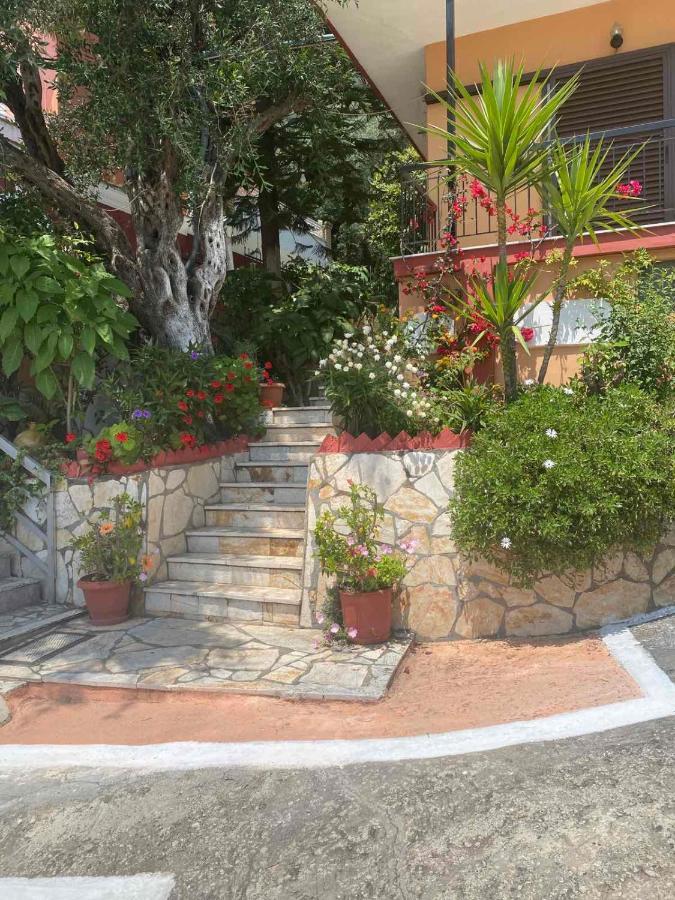 Apartament Vasiliki View Barbati