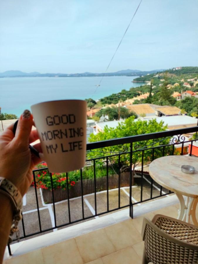 Vasiliki View Apartament